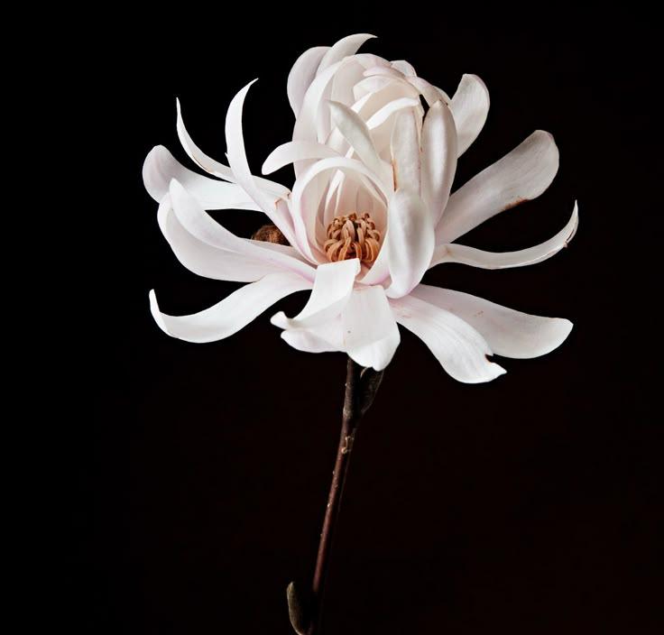 Ample Paper Trace workshop space where corporate flower arrangements are designed and prepared for business delivery